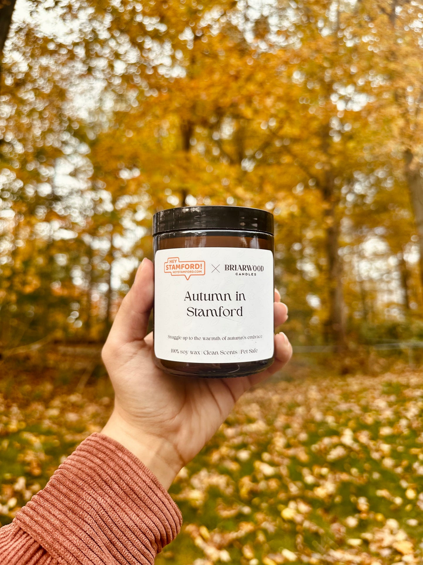 Autumn in Stamford | Hey Stamford